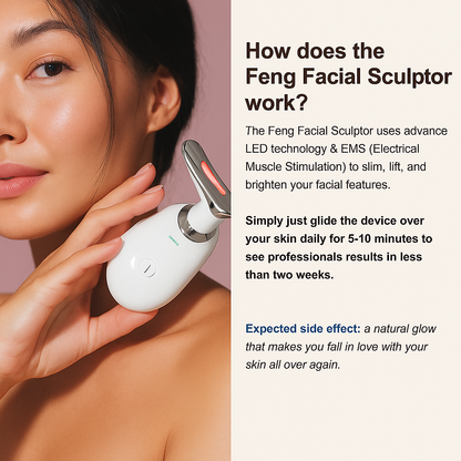 Feng Sculptor Pro